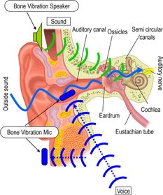 Bone conduction technology